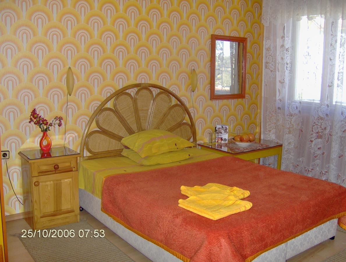 Отель Family Hotel Emaly 1 Банкя-27